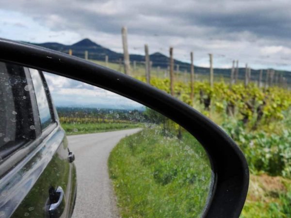 route du vin alsace met kinderen