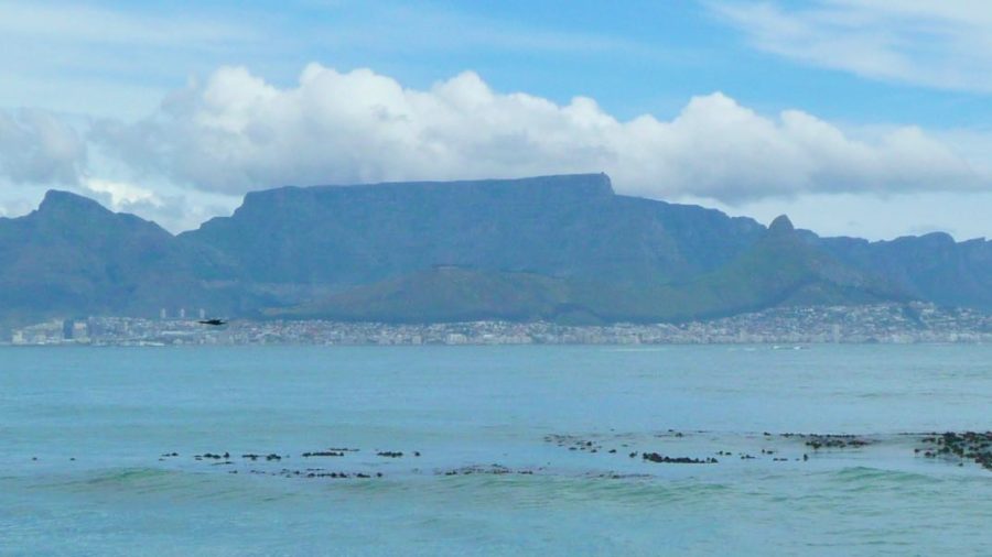 Kaapstad met kinderen