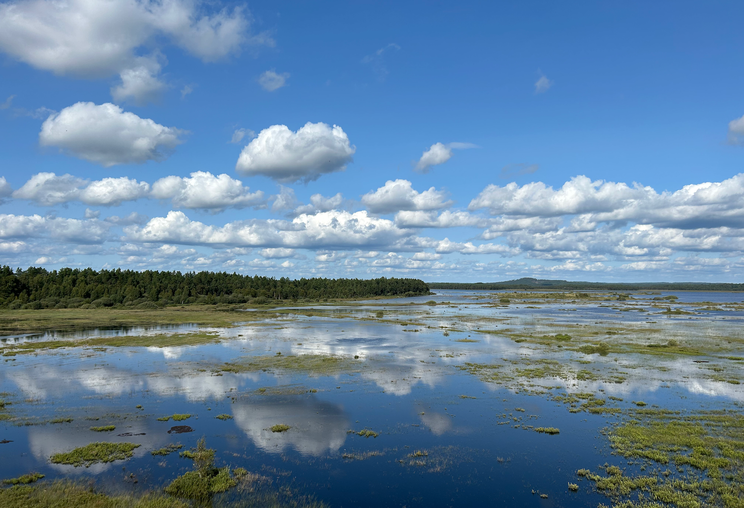 wandelen in zweden