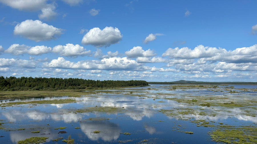 wandelen in zweden