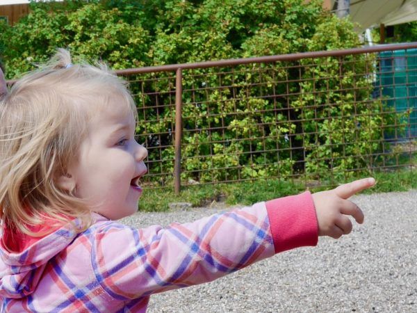 aalborg met kinderen