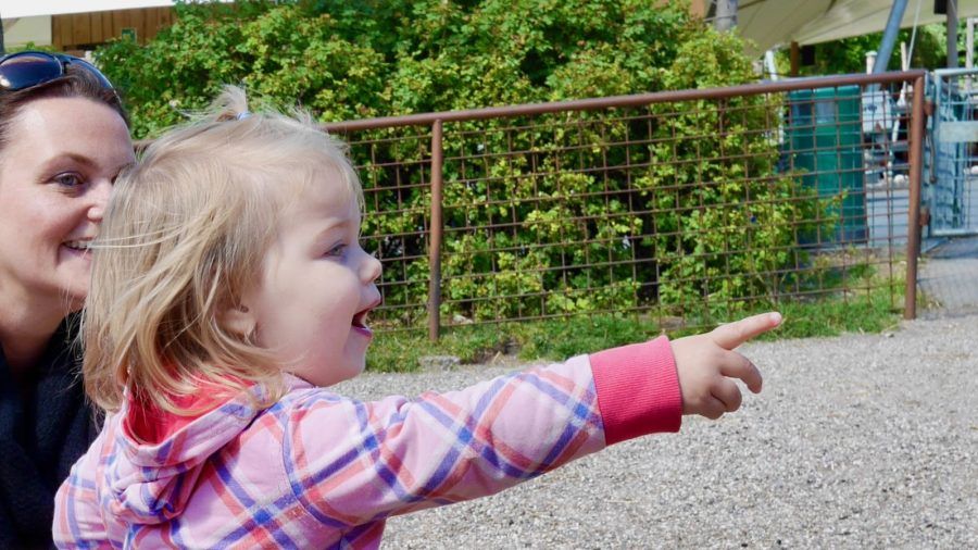 aalborg met kinderen